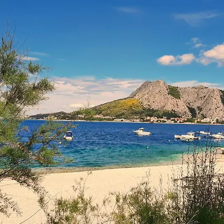 Antonia Omis